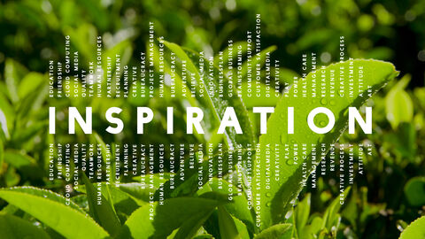 Newsletter Herbst 2023