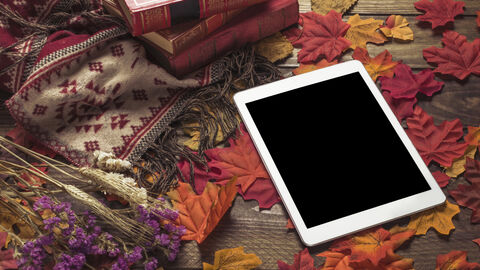 Tablett im Herbst Tablett im Herbst